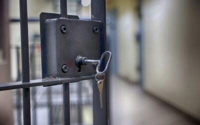 DOES THE N.J. PAROLE BOARD, WHEN CONSIDERING A STATE PRISON INMATE FOR PAROLE, MAKE ITS DECISION BASED ON THE COURT’S ANALYSIS AND/OR COMMENTS AT THE TIME OF SENTENCING?